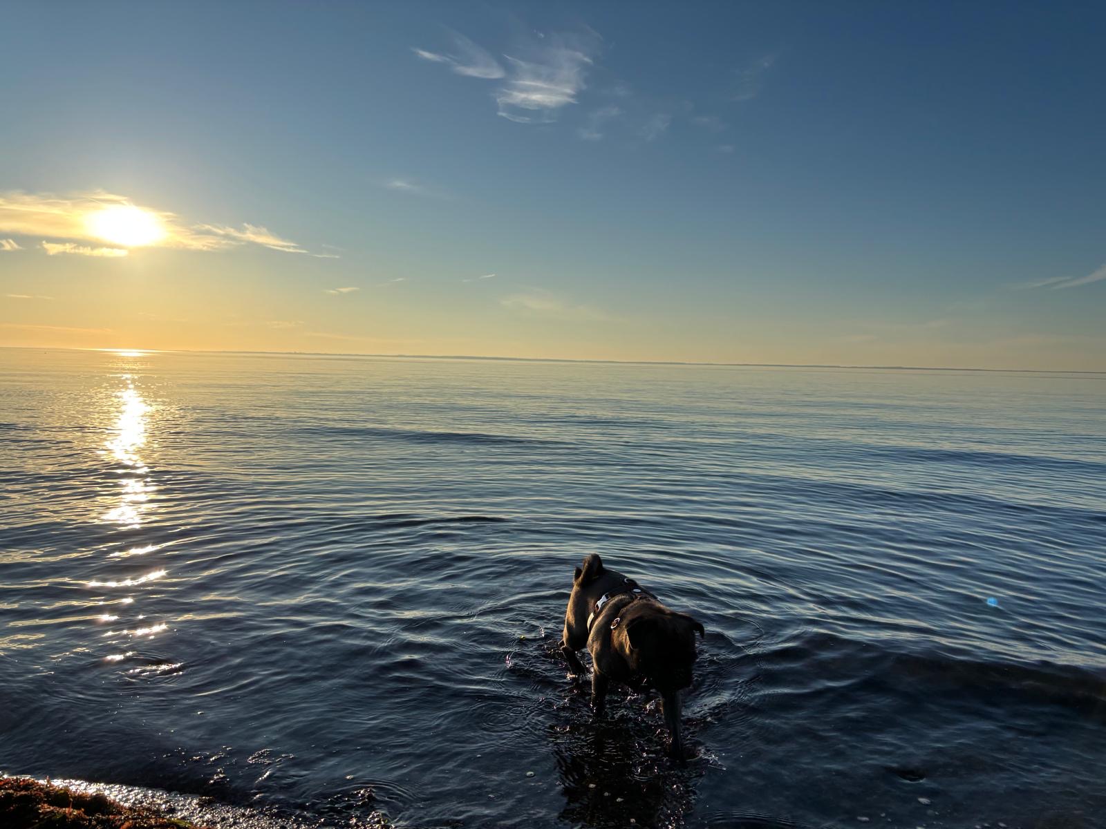 Fleur am Meer bei Sonnenuntergang